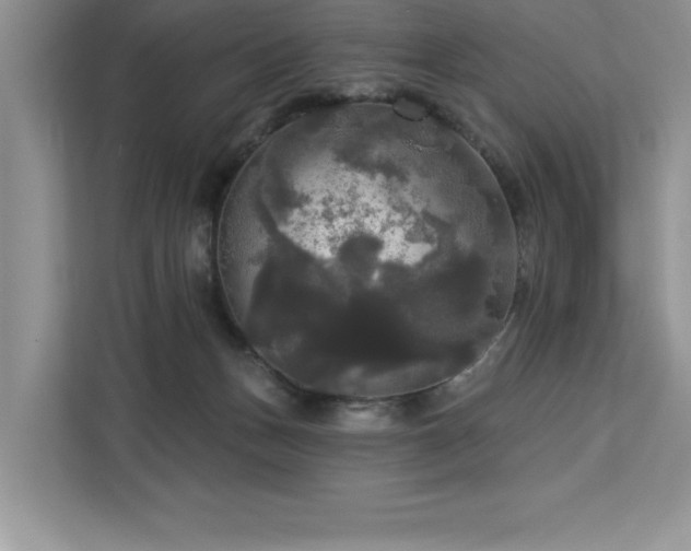 X0000113080175200908281230