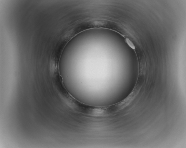 X0000113080176200908281230