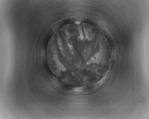 X0000113080178200908281230