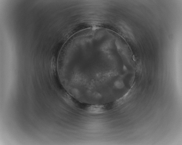 X0000113080179200908281230