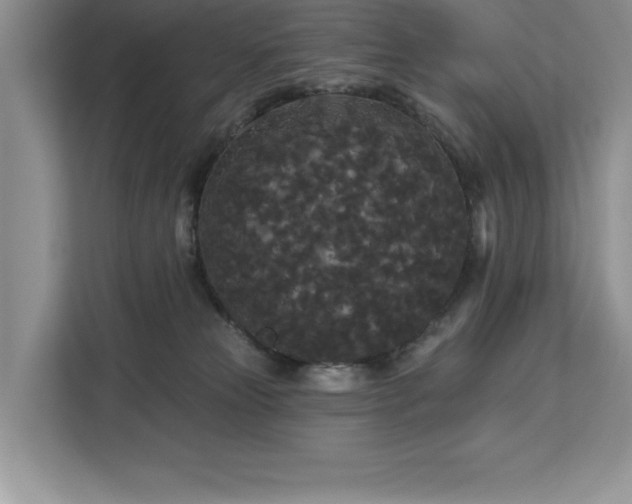 X0000113080181200908281230