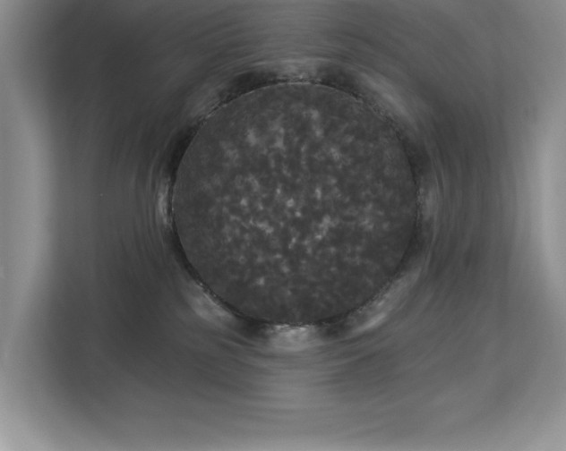 X0000113080185200908281230