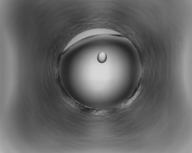 X0000113080186200908281230