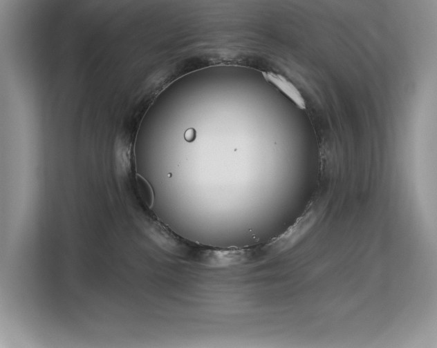 X0000113080188200908281230