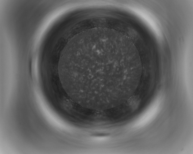 X0000113080189200908281230