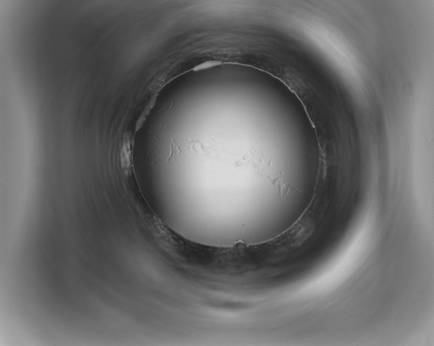 X0000113080190200908281230