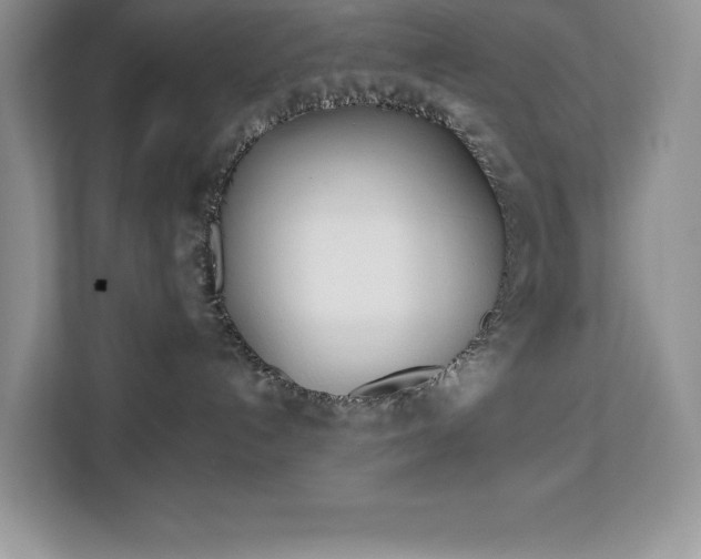 X0000113080192200908281230