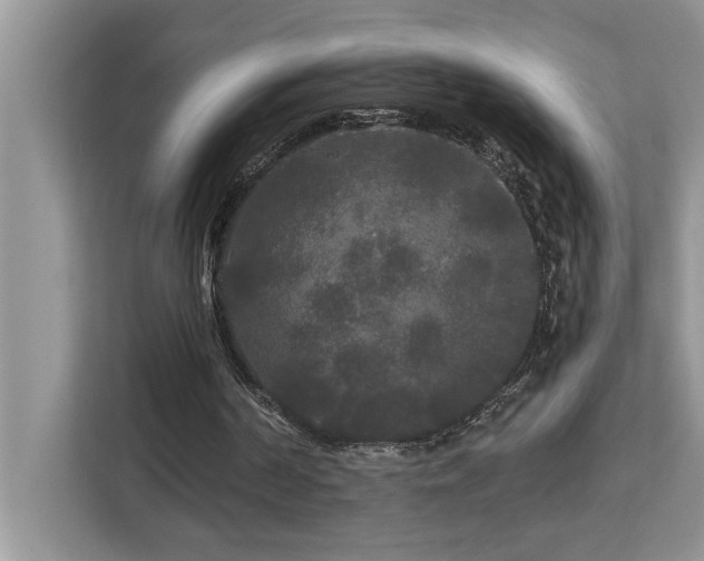 X0000113080194200908281230