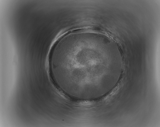 X0000113080198200908281230