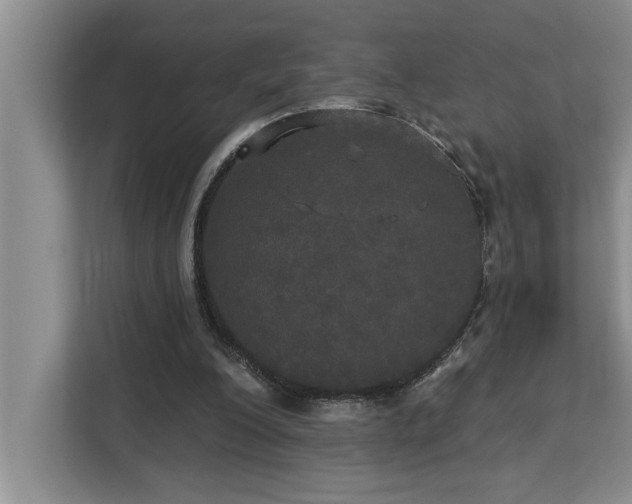 X0000113080200200908281230