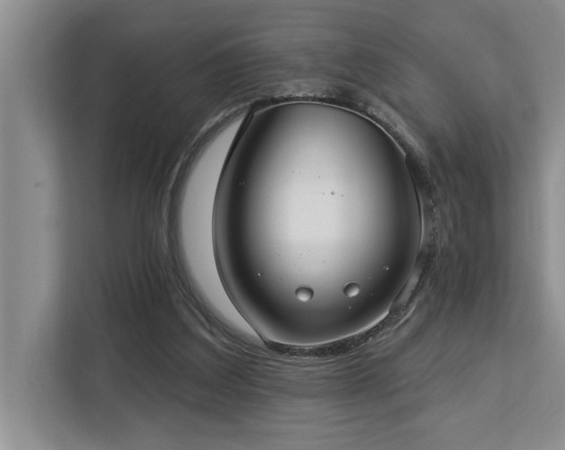 X0000113080203200908281230