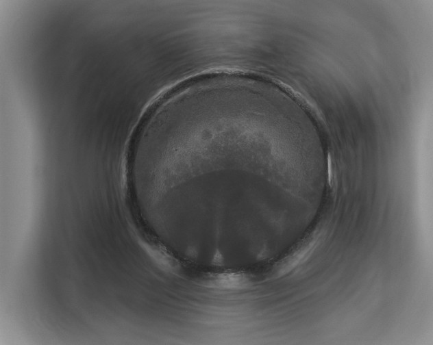 X0000113080204200908281230