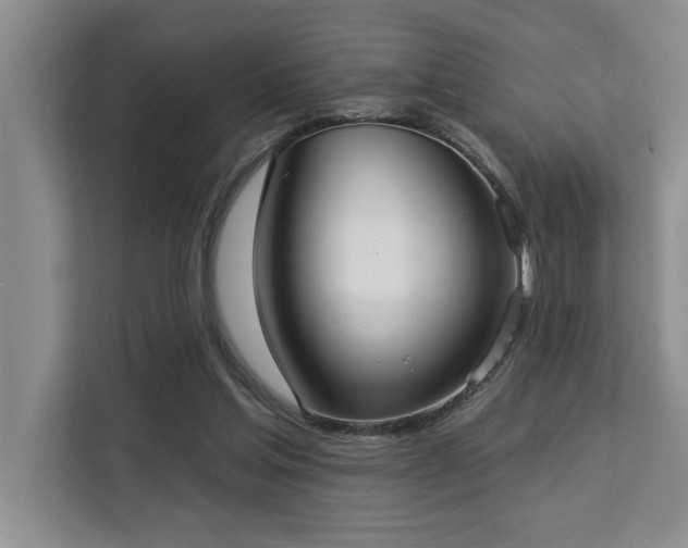 X0000113080205200908281230