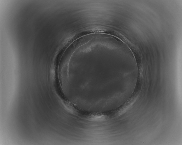 X0000113080206200908281230