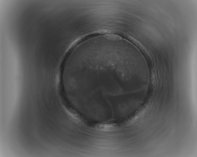 X0000113080208200908281230