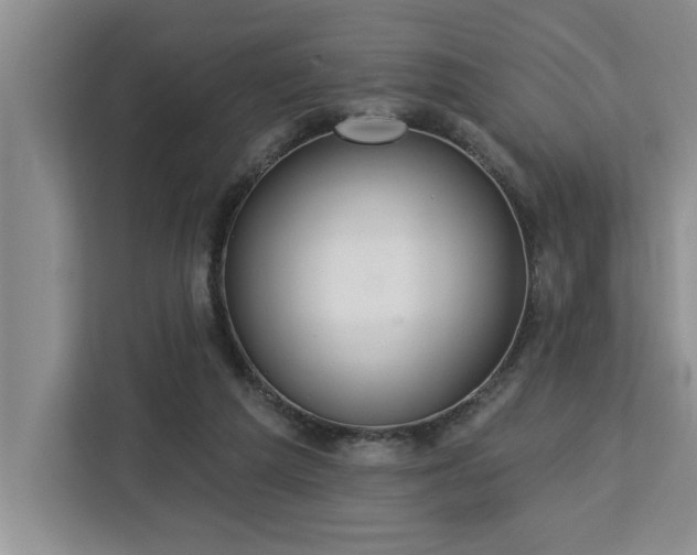 X0000113080209200908281230