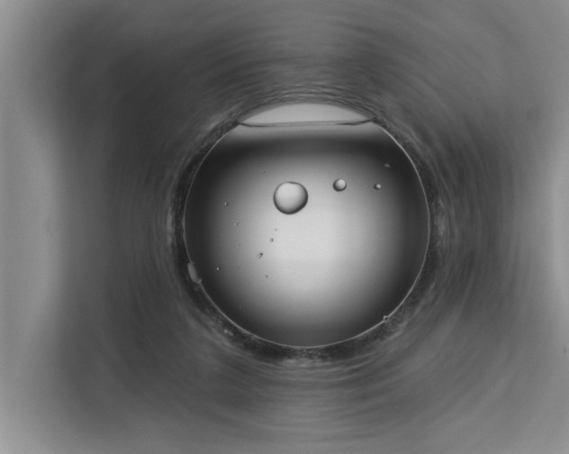 X0000113080211200908281230