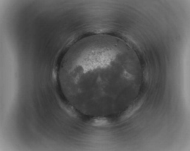 X0000113080214200908281230