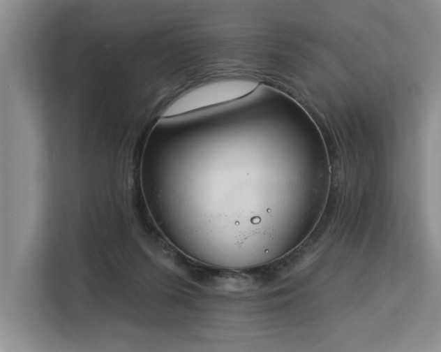 X0000113080215200908281230