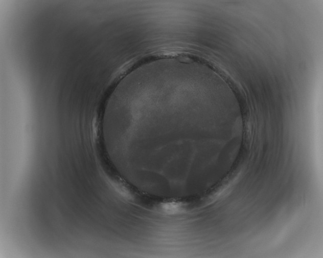 X0000113080216200908281229