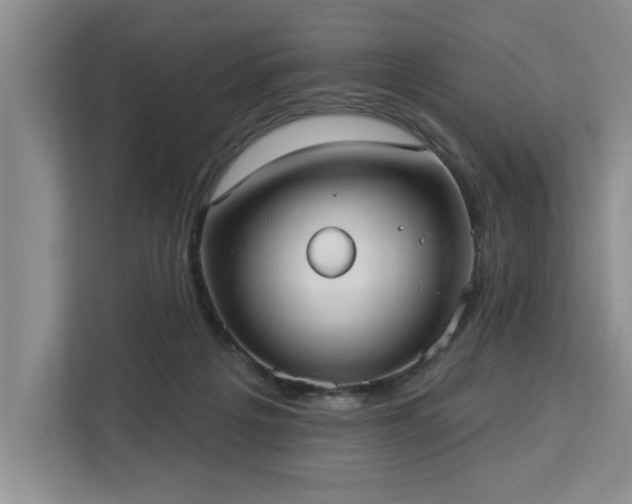 X0000113080217200908281229