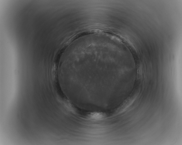 X0000113080218200908281229