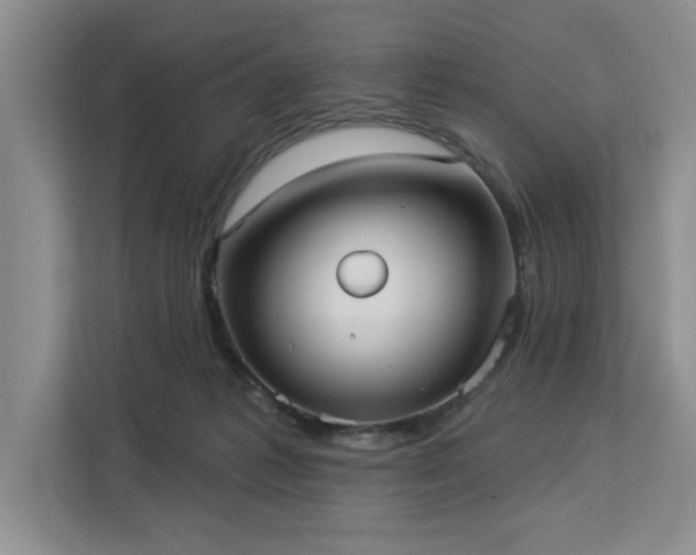 X0000113080221200908281229