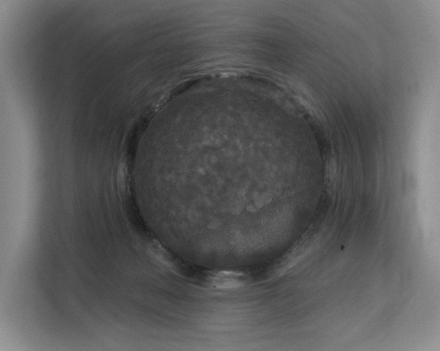 X0000113080222200908281229