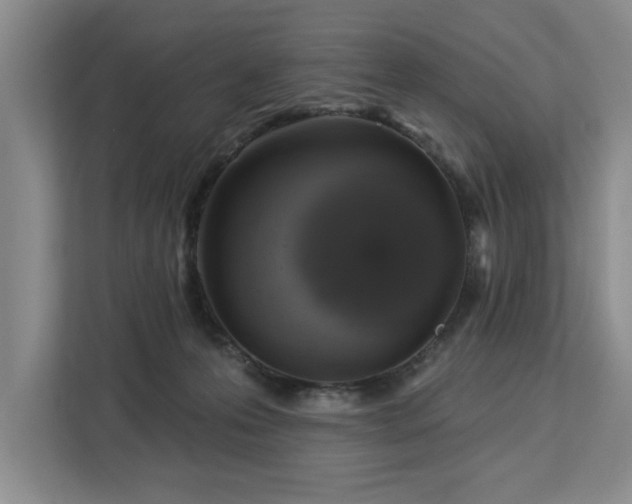 X0000113080223200908281229