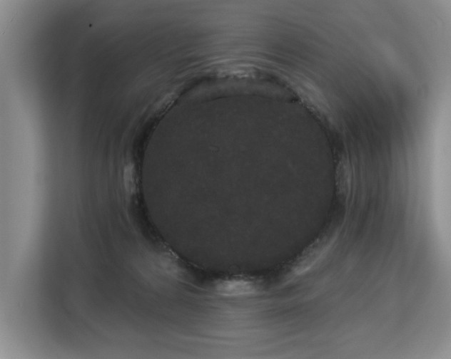 X0000113080224200908281229