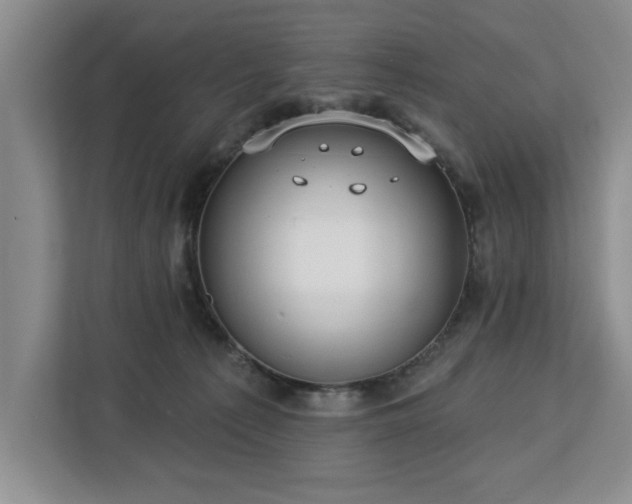 X0000113080225200908281229