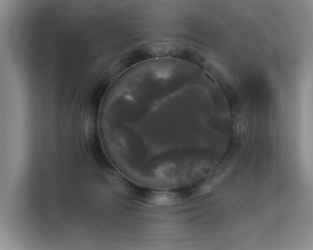 X0000113080226200908281229