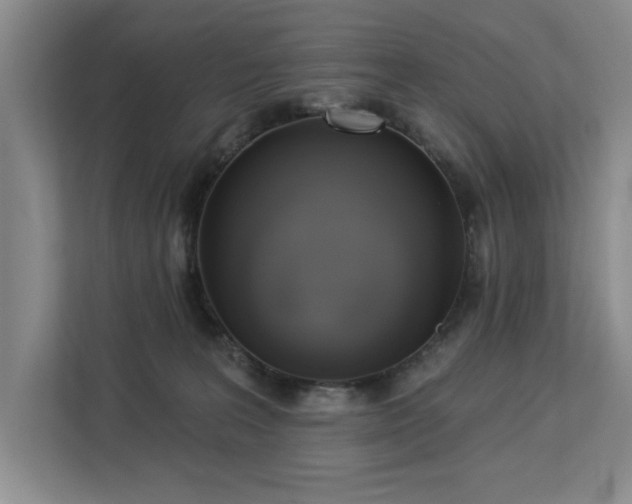 X0000113080227200908281229