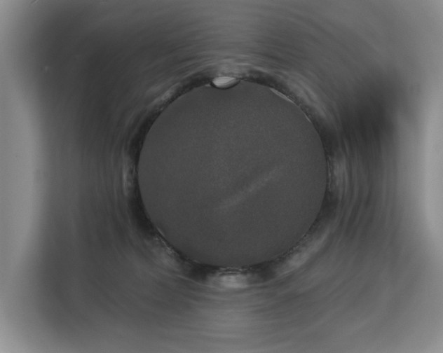 X0000113080228200908281229