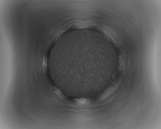 X0000113080230200908281229