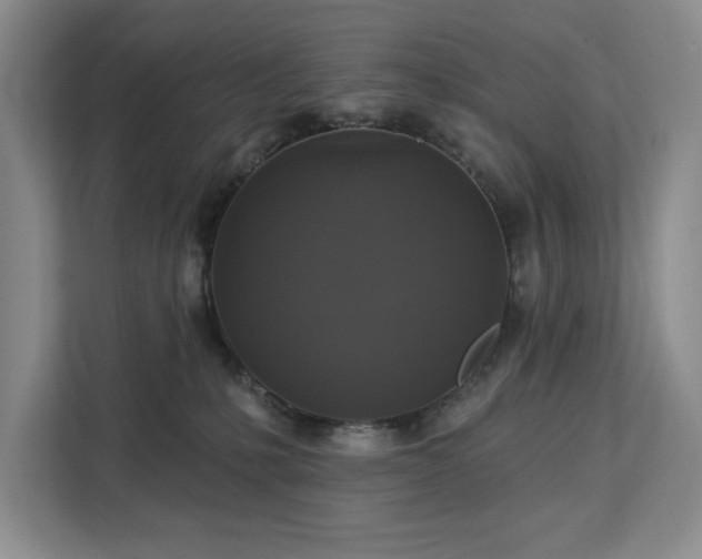 X0000113080231200908281229