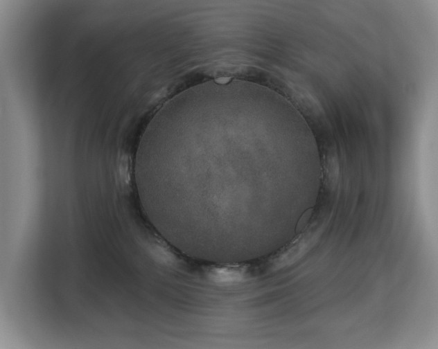 X0000113080232200908281229