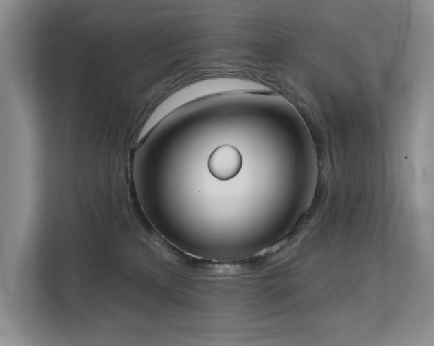 X0000113080233200908281229