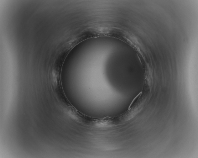 X0000113080235200908281229