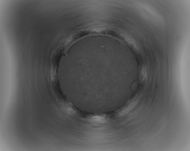 X0000113080236200908281229