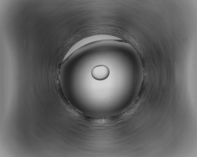 X0000113080237200908281229