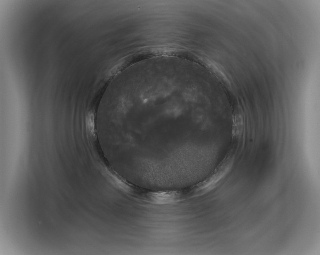 X0000113080238200908281229