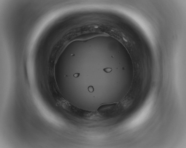 X0000113080239200908281229