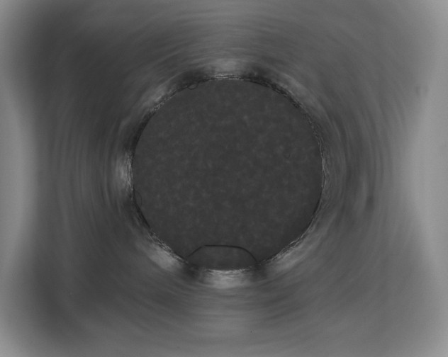 X0000113080240200908281229