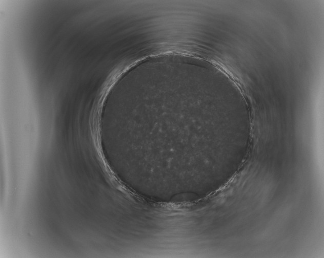 X0000113080241200908281229