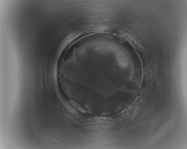 X0000113080242200908281229