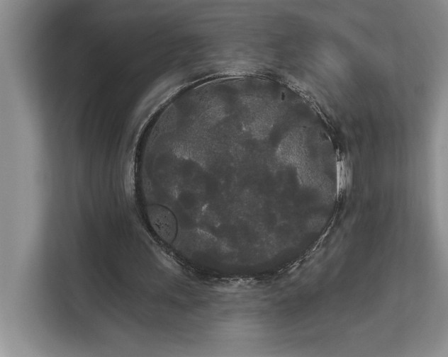 X0000113080243200908281229