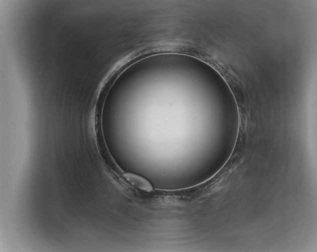 X0000113080244200908281229