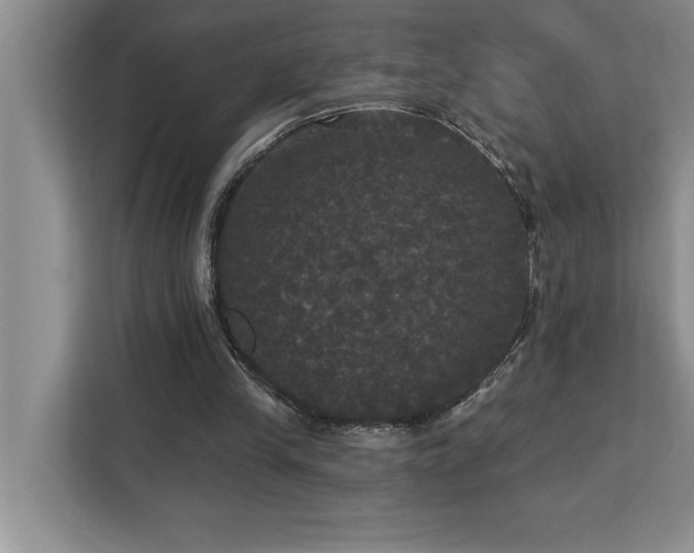 X0000113080245200908281229