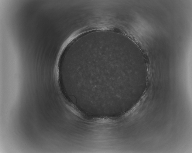 X0000113080246200908281229